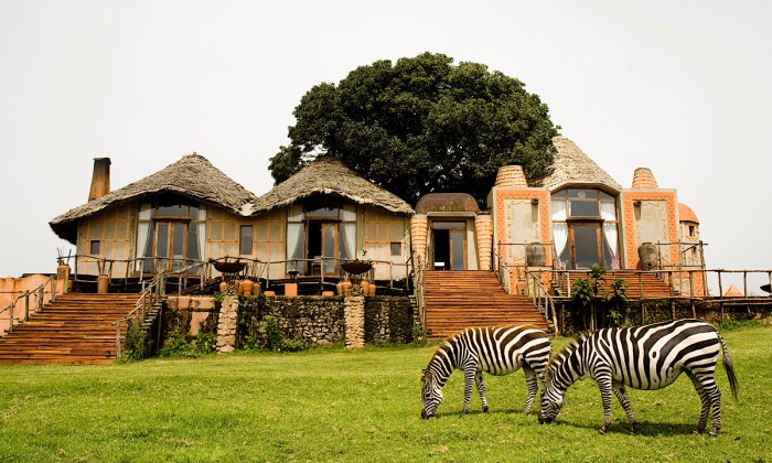 Luxury african safari vacation packages