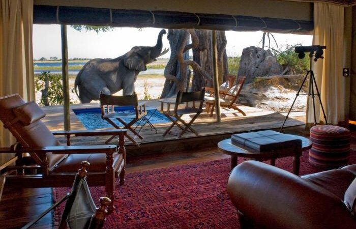 Safari vacation lodge botswana africa south african luxury places cape town travel tours vacations safaris spots elephant zicasso beautiful trip