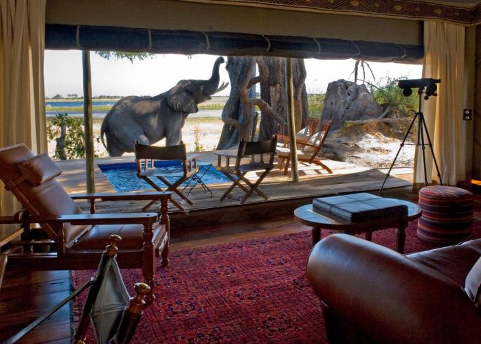 Safari vacation lodge botswana africa south african luxury places cape town travel tours vacations safaris spots elephant zicasso beautiful trip