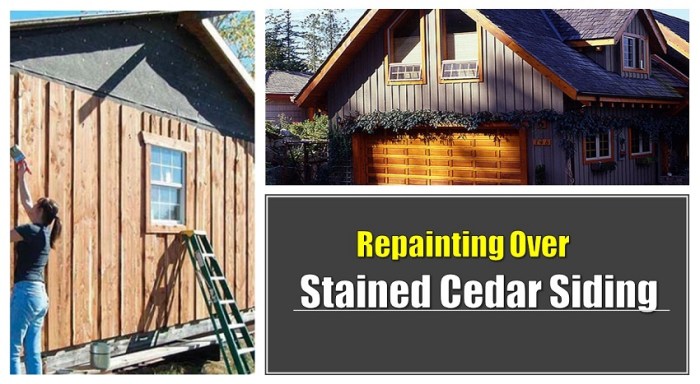 Cedar siding repair and painting near me